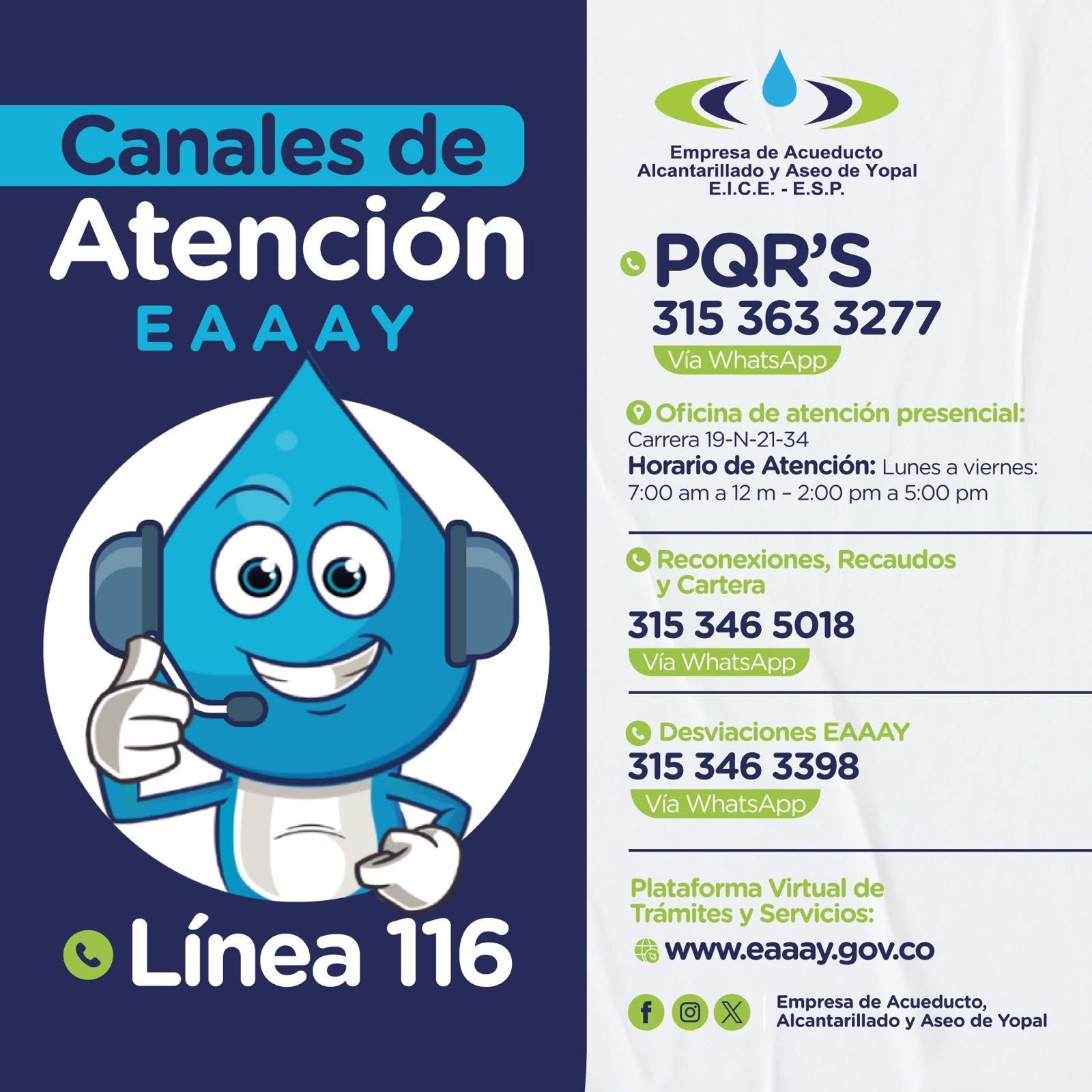 Planta